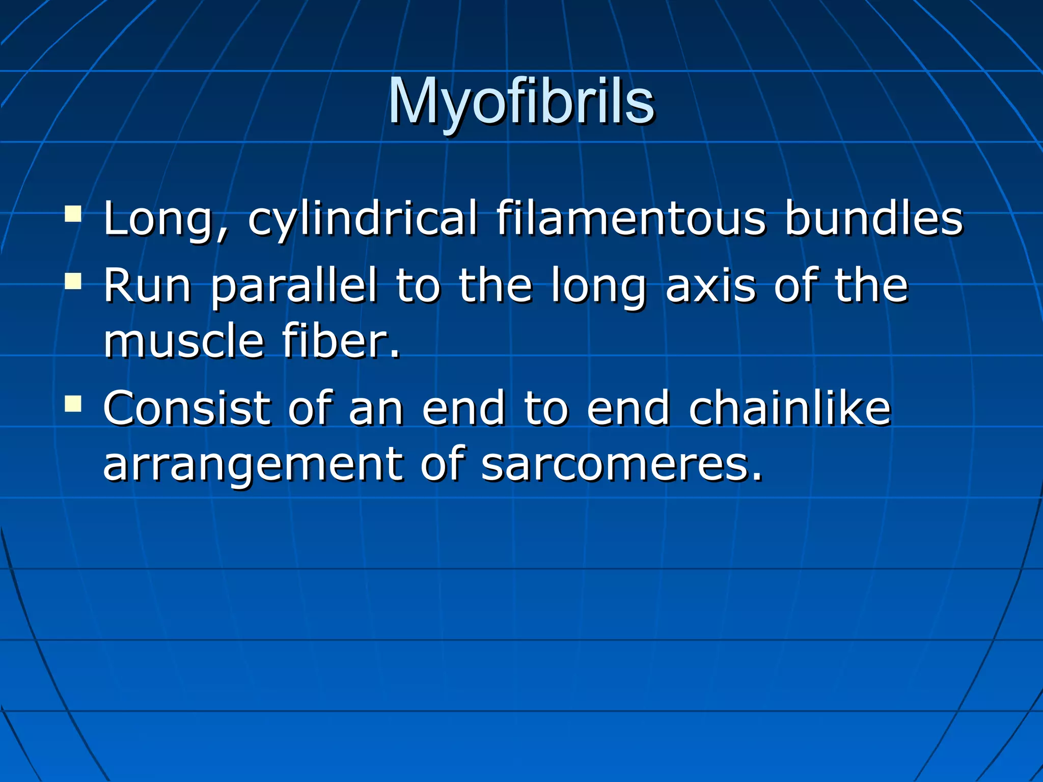 Myofibrils





Long, cylindrical filamentous bundles
Run parallel to the long axis of the
muscle fiber.
Consist of an end to end chainlike
arrangement of sarcomeres.

 