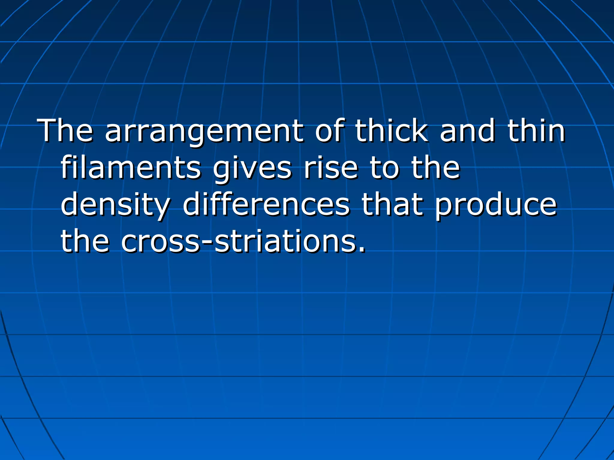 The arrangement of thick and thin
filaments gives rise to the
density differences that produce
the cross-striations.

 