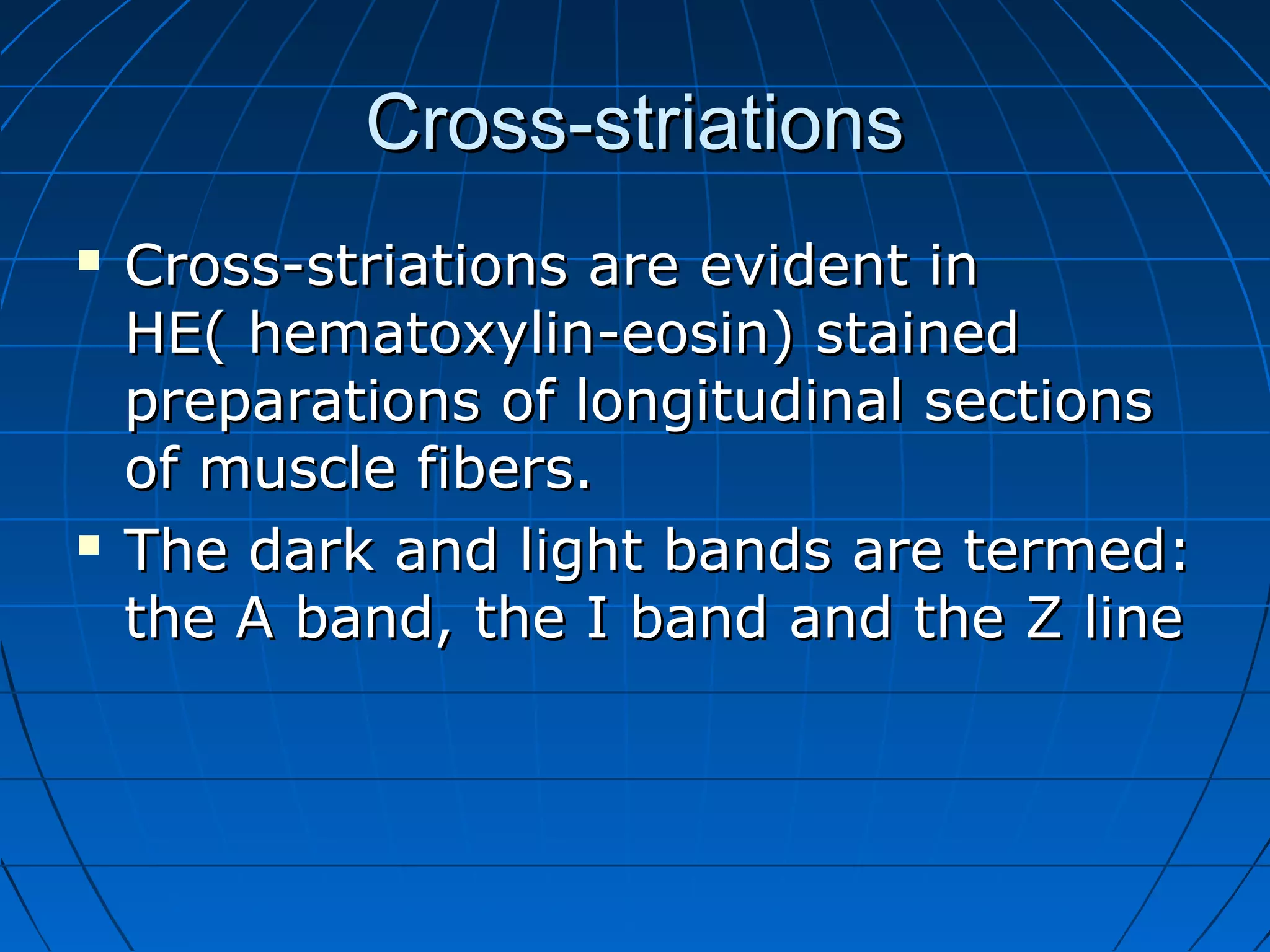 Cross-striations




Cross-striations are evident in
HE( hematoxylin-eosin) stained
preparations of longitudinal sections
of muscle fibers.
The dark and light bands are termed:
the A band, the I band and the Z line

 