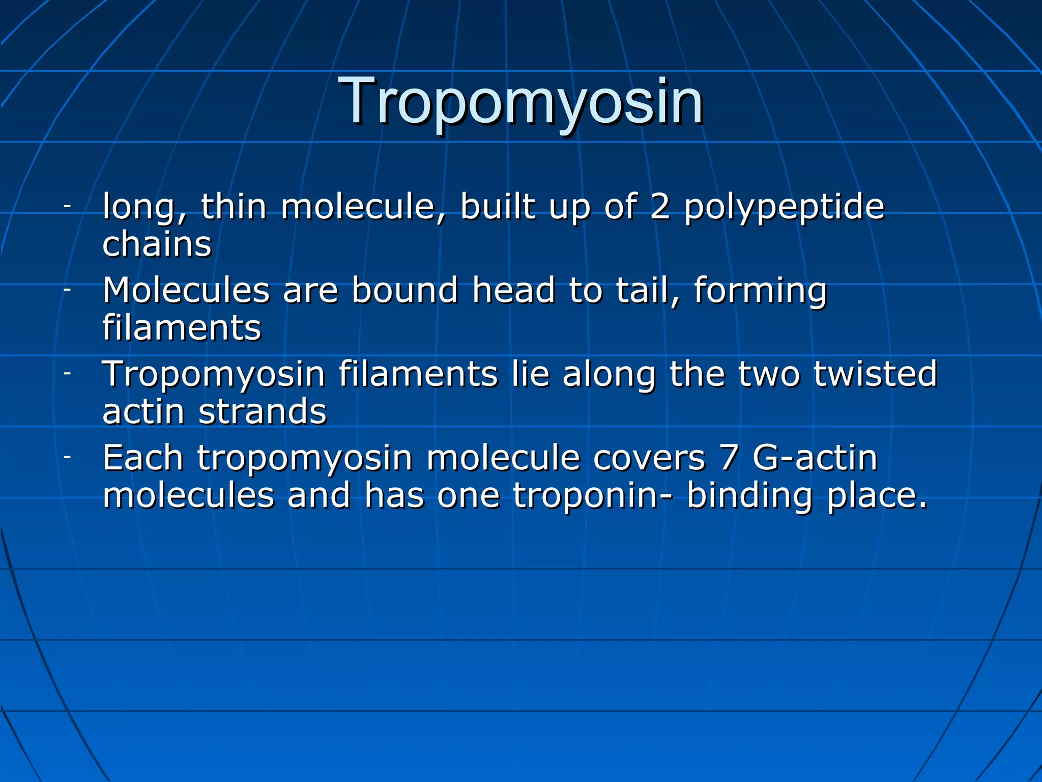Tropomyosin
-

-

-

-

long, thin molecule, built up of 2 polypeptide
chains
Molecules are bound head to tail, forming
filaments
Tropomyosin filaments lie along the two twisted
actin strands
Each tropomyosin molecule covers 7 G-actin
molecules and has one troponin- binding place.

 