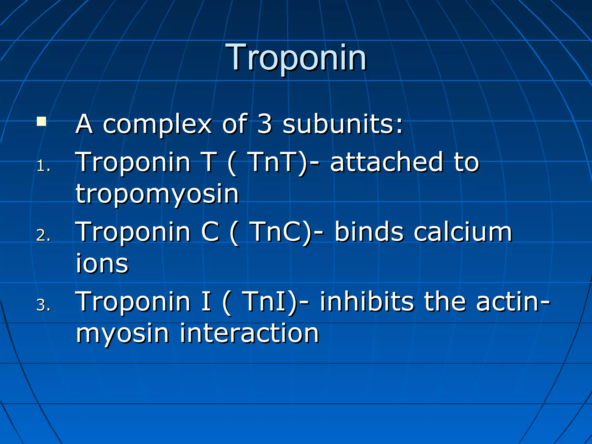 Troponin

1.

2.

3.

A complex of 3 subunits:
Troponin T ( TnT)- attached to
tropomyosin
Troponin C ( TnC)- binds calcium
ions
Troponin I ( TnI)- inhibits the actinmyosin interaction

 