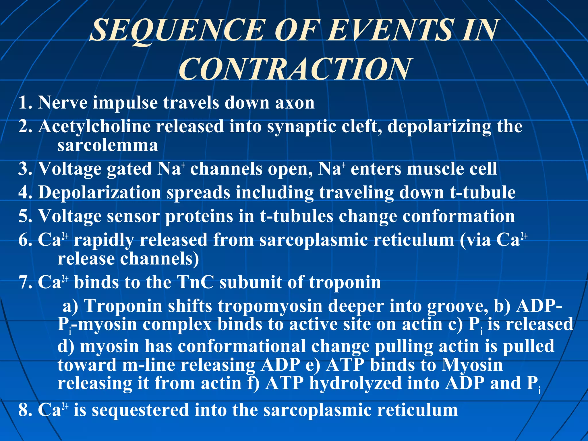 SEQUENCE OF EVENTS IN
CONTRACTION
1. Nerve impulse travels down axon
2. Acetylcholine released into synaptic cleft, depolarizing the
sarcolemma
3. Voltage gated Na+ channels open, Na+ enters muscle cell
4. Depolarization spreads including traveling down t-tubule
5. Voltage sensor proteins in t-tubules change conformation
6. Ca2+ rapidly released from sarcoplasmic reticulum (via Ca2+
release channels)
7. Ca2+ binds to the TnC subunit of troponin
a) Troponin shifts tropomyosin deeper into groove, b) ADPPi-myosin complex binds to active site on actin c) Pi is released
d) myosin has conformational change pulling actin is pulled
toward m-line releasing ADP e) ATP binds to Myosin
releasing it from actin f) ATP hydrolyzed into ADP and Pi
8. Ca2+ is sequestered into the sarcoplasmic reticulum

 
