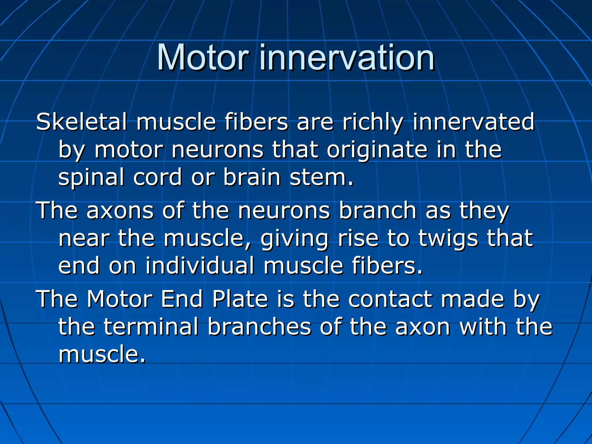 Motor innervation
Skeletal muscle fibers are richly innervated
by motor neurons that originate in the
spinal cord or brain stem.
The axons of the neurons branch as they
near the muscle, giving rise to twigs that
end on individual muscle fibers.
The Motor End Plate is the contact made by
the terminal branches of the axon with the
muscle.

 