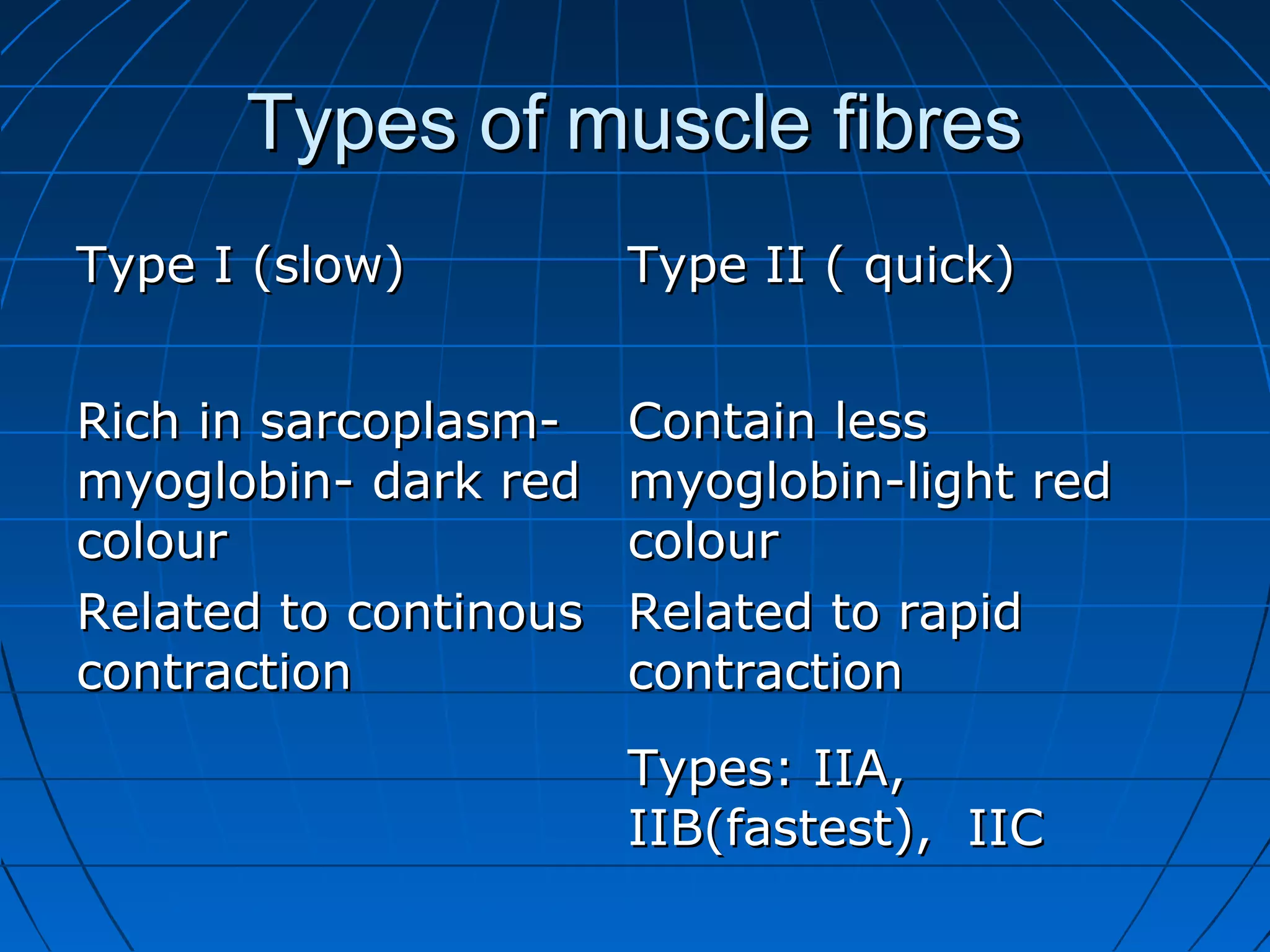 Types of muscle fibres
Type I (slow)

Type II ( quick)

Rich in sarcoplasmmyoglobin- dark red
colour
Related to continous
contraction

Contain less
myoglobin-light red
colour
Related to rapid
contraction
Types: IIA,
IIB(fastest), IIC

 