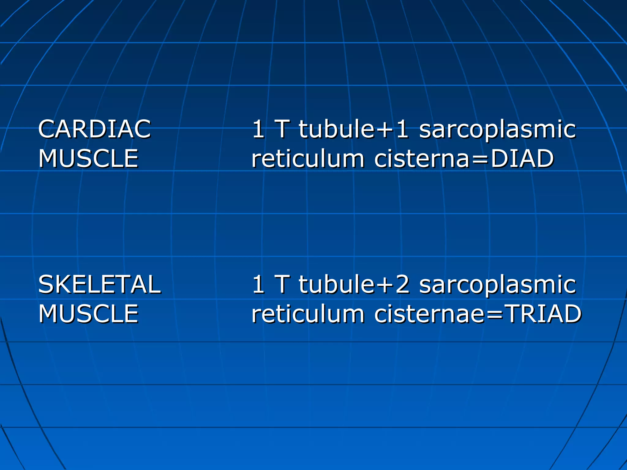CARDIAC
MUSCLE

1 T tubule+1 sarcoplasmic
reticulum cisterna=DIAD

SKELETAL
MUSCLE

1 T tubule+2 sarcoplasmic
reticulum cisternae=TRIAD

 