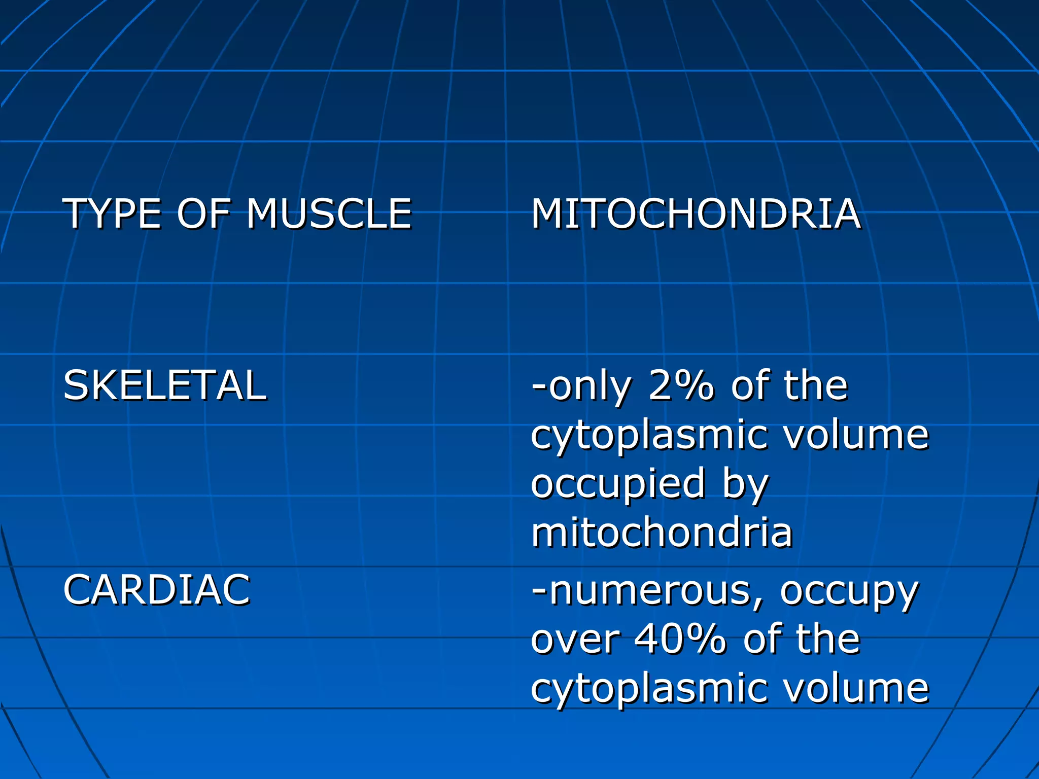 TYPE OF MUSCLE

MITOCHONDRIA

SKELETAL

-only 2% of the
cytoplasmic volume
occupied by
mitochondria
-numerous, occupy
over 40% of the
cytoplasmic volume

CARDIAC

 