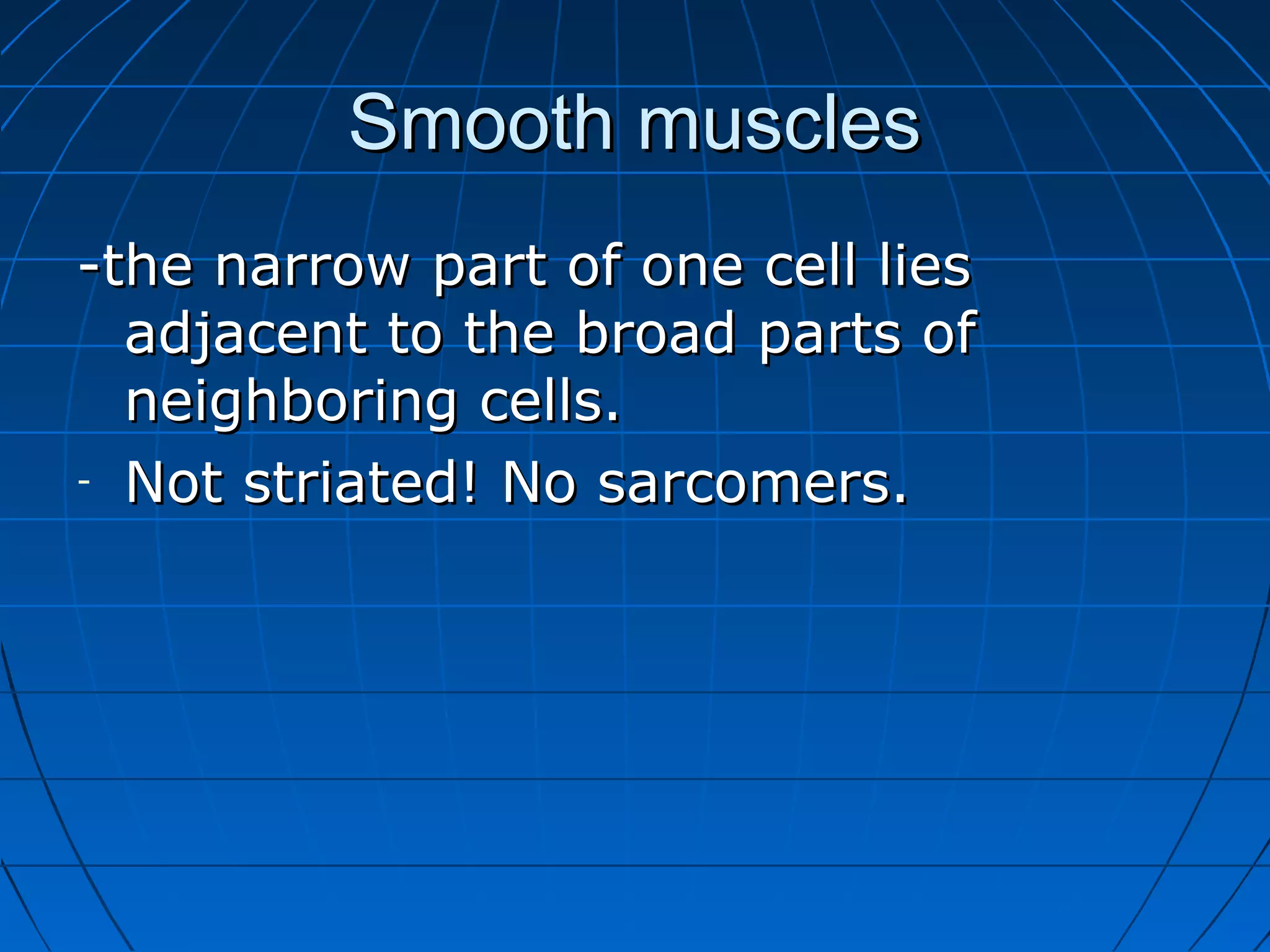 Smooth muscles
-the narrow part of one cell lies
adjacent to the broad parts of
neighboring cells.
- Not striated! No sarcomers.

 