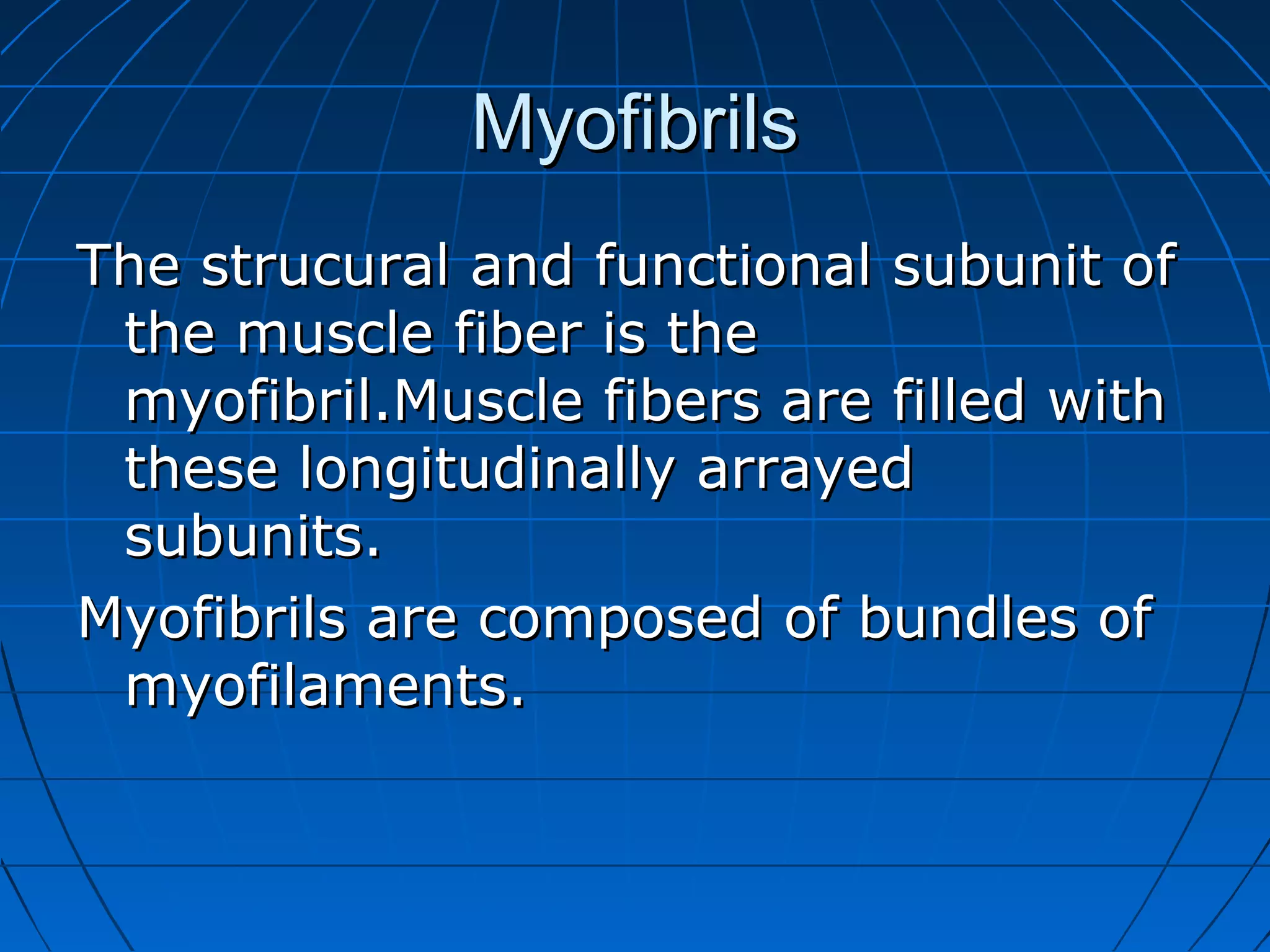Myofibrils
The strucural and functional subunit of
the muscle fiber is the
myofibril.Muscle fibers are filled with
these longitudinally arrayed
subunits.
Myofibrils are composed of bundles of
myofilaments.

 