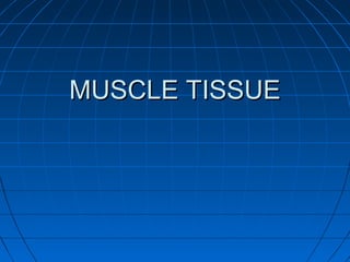 MUSCLE TISSUE

 