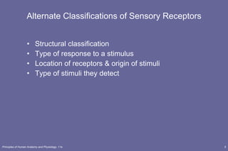 Alternate Classifications of Sensory Receptors Structural classification Type of response to a stimulus Location of receptors & origin of stimuli Type of stimuli they detect 