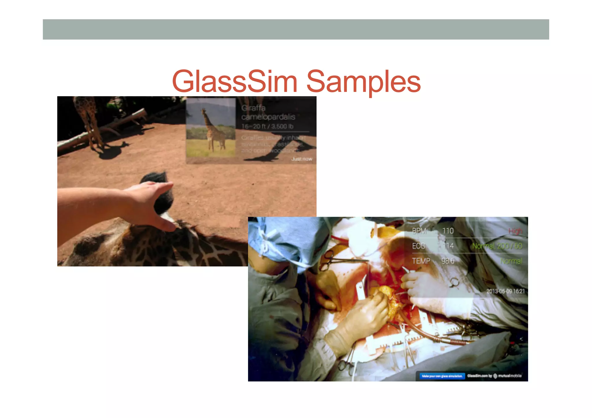 GlassSim Samples
 