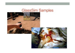GlassSim Samples
 