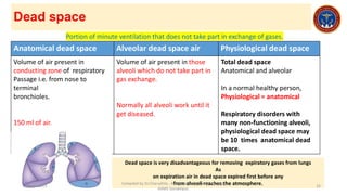 lecture 6 /2023-Respiratory Physiology - work of breathing , dead space.pdf