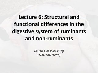 Lecture 6 (1 Hr) - Ruminant VS Non Ruminant GIT (1).pdf