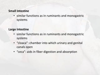 Lecture 6 (1 Hr) - Ruminant VS Non Ruminant GIT (1).pdf