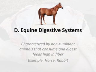 Lecture 6 (1 Hr) - Ruminant VS Non Ruminant GIT (1).pdf