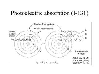 Photoelectric absorption (I-131)
 