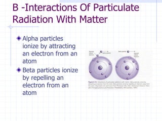B -Interactions Of Particulate
Radiation With Matter
Alpha particles
ionize by attracting
an electron from an
atom
Beta particles ionize
by repelling an
electron from an
atom
 