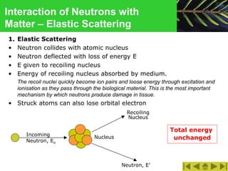 1. Elastic Scattering
• Neutron collides with atomic nucleus
• Neutron deflected with loss of energy E
• E given to recoiling nucleus
• Energy of recoiling nucleus absorbed by medium.
The recoil nuclei quickly become ion pairs and loose energy through excitation and
ionisation as they pass through the biological material. This is the most important
mechanism by which neutrons produce damage in tissue.
• Struck atoms can also lose orbital electron
Interaction of Neutrons with
Matter – Elastic Scattering
Neutron, E’
Recoiling
Nucleus
Incoming
Neutron, Eo
Nucleus
Total energy
unchanged
 