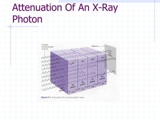 Attenuation Of An X-Ray
Photon
 