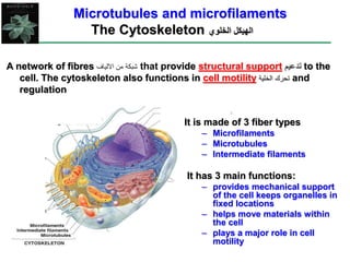 Microtubules and microfilaments
The Cytoskeleton ‫الخلو‬ ‫الهيكل‬
‫ي‬
A network of fibres ‫االلياف‬ ‫من‬ ‫شبكة‬ that provi...