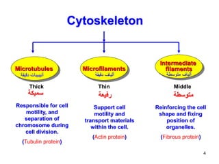 4
Cytoskeleton
Responsible for cell
motility, and
separation of
chromosome during
cell division.
(Tubulin protein)
Support...