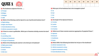 QUIZ 1
Q1: The duodenum originates from the …….
A. Foregut
B. Midgut
C. Hindgut
D. A&B
Q2: Which of the following could be injured in case of perforated duodenal ulcer?
A. Right kidney
B. Right colic flexure
C. Gastroduodenal artery
D. Inferior mesenteric vessels
Q3: if there is a stone in gallbladder ,Which part of intestine initially receives the stone?
A. cecum
B. ascending colon
C. 2nd part of duodenum
D. 3rd part of duodenum
Q4: Which of the following lies anterior to the third part of duodenum?
A. Right psoas major
B. Small Intestine
C. Ureter
D. Bile duct
Q5: What part of the duodenum lies in the transpyloric plane?
A. 1st
B. 2nd
C. 3rd
D. 4th
Q6: the length of the Jejunum & Ileum is
A. 6 inches
B. 6 meter
C. 10 meter
D. 10 inches
Q7: :Which one of these contains numerous aggregation of Lymphoid Tissue ?
A. Jejunum
B. Stomach
C. duodenum
D. ileum
Q8: Which ONE of the following lies behind the 3rd part of the duodenum?
A. inferior mesenteric vein
B. inferior mesenteric artery
C. superior mesenteric artery
D. Gastroduodenal artery
10
Q1 Q2 Q3 Q4 Q5 Q6 Q7 Q8
D C C B A B D B
 