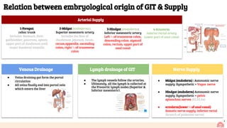 9
Relation between embryological origin of GIT & Supply
Venous Drainage
● Veins draining gut form the portal
circulation
● All veins finally end into portal vein
which enters the liver
Nerve Supply
● Midgut (endoderm) : Autonomic nerve
supply :Sympathetic + Vagus nerve
●
● Hindgut (endoderm) Autonomic nerve
supply :Sympathetic + pelvic
splanchnic nerves (S2,S3,S4)
●
● ectoderm(lower ⅓ of anal canal)
Somatic nerve supply :inferior rectal
(branch of pudendal nerve)
Lymph drainage of GIT
● The lymph vessels follow the arteries.
● Ultimately, all the lymph is collected at
the Preaortic lymph nodes (Superior &
Inferior mesenteric).
Arterial Supply
1-Foregut:
celiac trunk
Includes Stomach ,liver,
gallbladder, pancreas, spleen,
upper part of duodenum until
major duodenal ampulla
2-Midgut (endoderm) :
Superior mesenteric artery
Includes the Rest of
duodenum ,jejunum, ileum,
cecum,appendix, ascending
colon, right ⅔ of transverse
colon
3-Hindgut (endoderm):
Inferior mesenteric artery
Left ⅓ of transverse colon,
descending colon, sigmoid
colon, rectum, upper part of
anal canal
4-Ectoderm:
inferior rectal artery
Lower part of anal canal
 