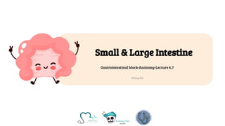Small & Large Intestine
Gastrointestinal block-Anatomy-Lecture 6,7
Editing file
 