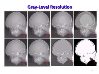 Gray-Level Resolution
24
816128
3264
256
17
 