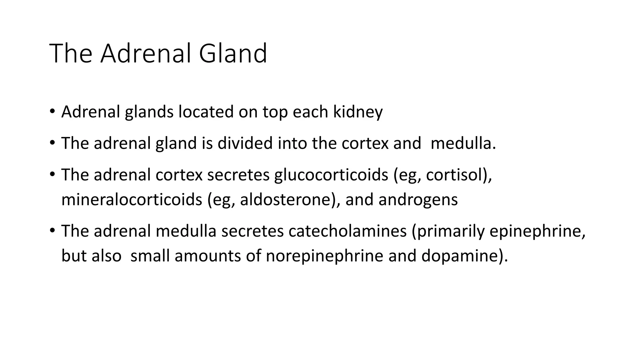 Image showcasing =2343 Lecture 6 Adrenal Gland DISORDER .pptx