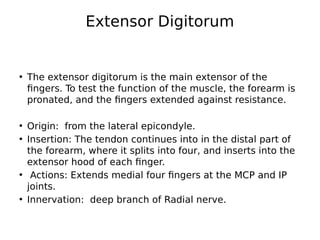 lecture 6aThe Fore am.pdf