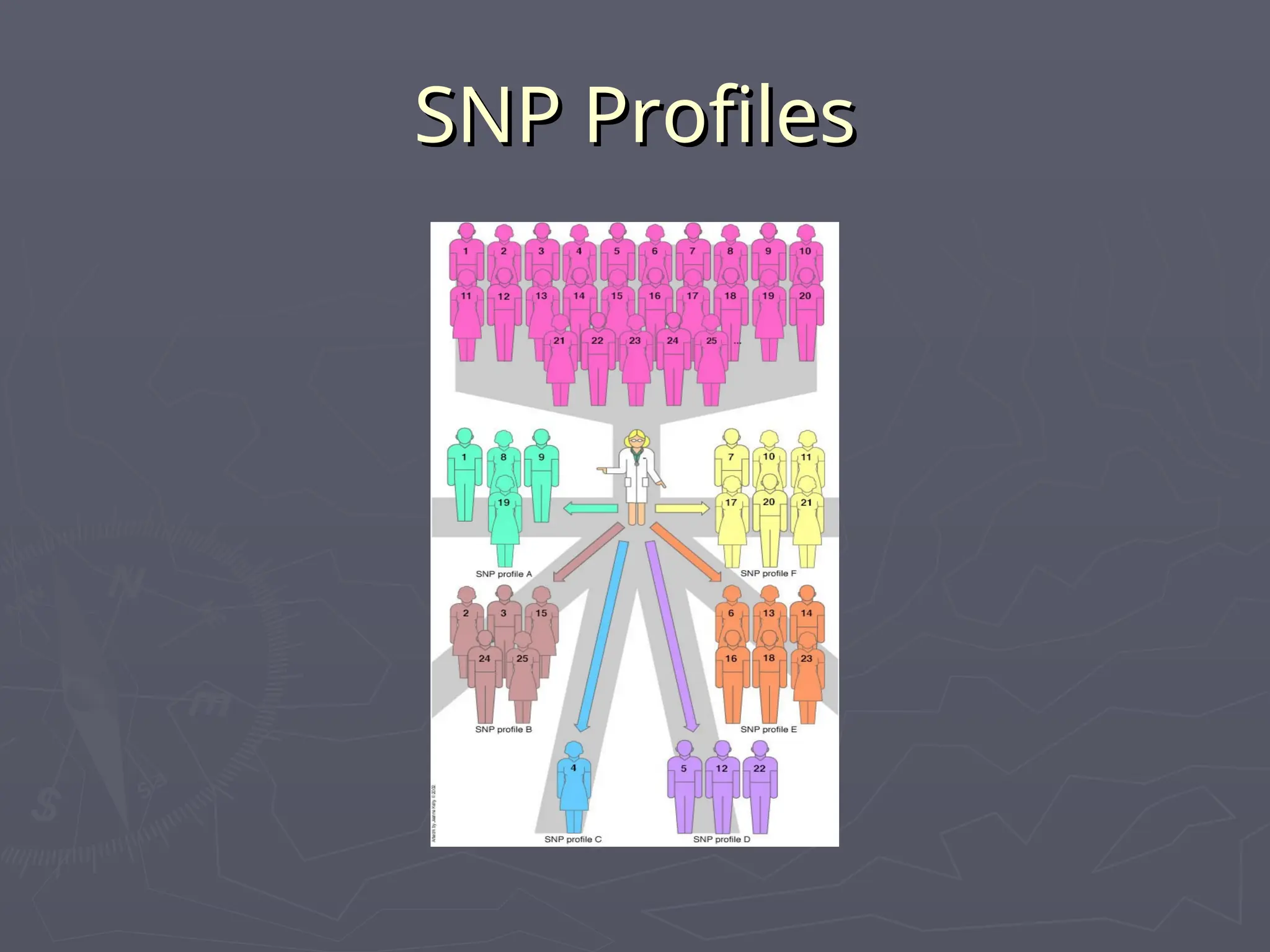 SNP Profiles
SNP Profiles
 