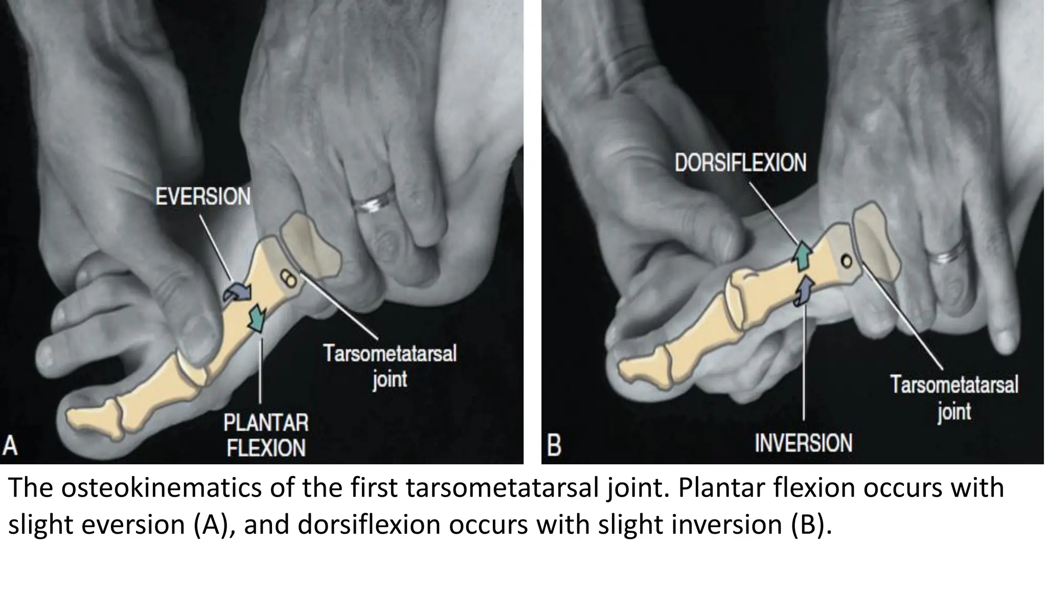 Lecture 6 Bio II gjghh hgfg hgg ggf-1.pdf