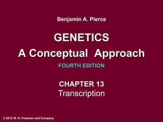 Benjamin A. Pierce


               GENETICS
         A Conceptual Approach
                                   FOURTH EDITION


                                   CHAPTER 13
                                   Transcription

© 2012 W. H. Freeman and Company
 