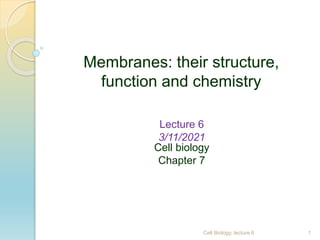 Membranes: their structure,
function and chemistry
Lecture 6
3/11/2021
Cell biology
Chapter 7
1
Cell Biology, lecture 6
 