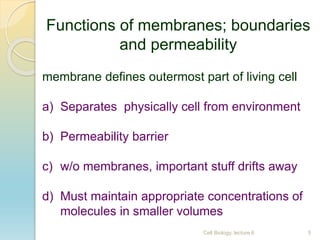 Lecture 6 Biological Membranes.pptx