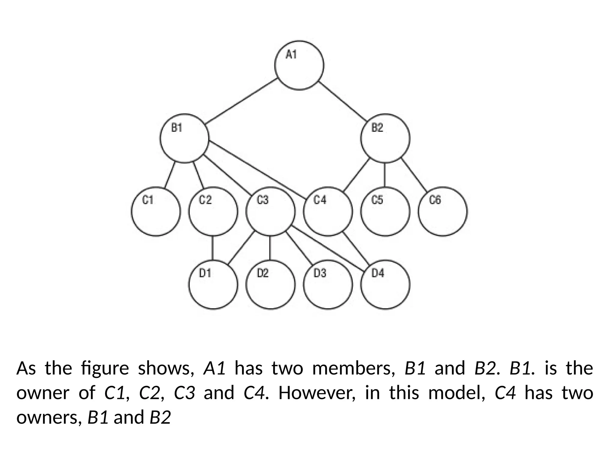 As the figure shows, A1 has two members, B1 and B2. B1. is the
owner of C1, C2, C3 and C4. However, in this model, C4 has two
owners, B1 and B2
 