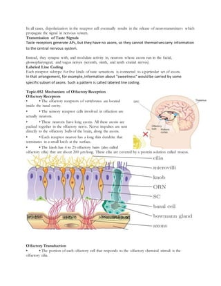 In all cases, depolarization in the receptor cell eventually results in the release of neurotransmitters which
propagate the signal in nervous system.
Transmission of Taste Signals
Taste receptors generate APs, but they have no axons, so they cannot themselvescarry information
to the central nervous system.
Instead, they synapse with, and modulate activity in, neurons whose axons run in the facial,
glossopharyngeal, and vagus nerves (seventh, ninth, and tenth cranial nerves).
Labeled Line Coding
Each receptor subtype for five kinds of taste sensations is connected to a particular set of axons.
In that arrangement, for example,information about "sweetness" would be carried by some
specific subset of axons. Such a pattern is called labeledline coding.
Topic-052 Mechanism of Olfactory Reception
Olfactory Receptors
• • The olfactory receptors of vertebrates are located
inside the nasal cavity.
• • The sensory receptor cells involved in olfaction are
actually neurons.
• • These neurons have long axons. All these axons are
packed together in the olfactory nerve. Nerve impulses are sent
directly to the olfactory bulb of the brain, along the axons.
• • Each receptor neuron has a long thin dendrite that
terminates in a small knob at the surface.
• • The knob has 4 to 25 olfactory hairs (also called
olfactory cilia) that are about 200 μm long. These cilia are covered by a protein solution called mucus.
Olfactory Transduction
• • The portion of each olfactory cell that responds to the olfactory chemical stimuli is the
olfactory cilia.
 