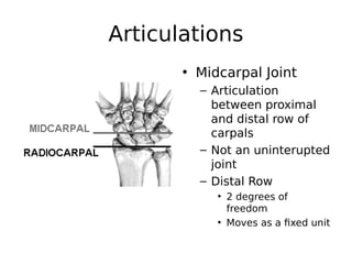 Articulations
• Midcarpal Joint
– Articulation
between proximal
and distal row of
carpals
– Not an uninterupted
joint
– Distal Row
• 2 degrees of
freedom
• Moves as a fixed unit
 