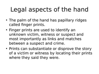 • The palm of the hand has papillary ridges
called finger prints.
• Finger prints are used to identify an
unknown victim, witness or suspect and
most importantly as links and matches
between a suspect and crime.
• Prints can substantiate or disprove the story
of a victim or witness by locating their prints
where they said they were.
Legal aspects of the hand
 