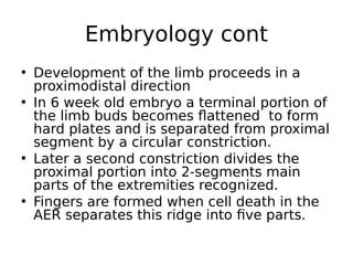 • Development of the limb proceeds in a
proximodistal direction
• In 6 week old embryo a terminal portion of
the limb buds becomes flattened to form
hard plates and is separated from proximal
segment by a circular constriction.
• Later a second constriction divides the
proximal portion into 2-segments main
parts of the extremities recognized.
• Fingers are formed when cell death in the
AER separates this ridge into five parts.
Embryology cont
 