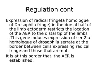 Expression of radical fringe(a homologue
of Drosophila fringe) in the dorsal half of
the limb ectoderm restricts the location
of the AER to the distal tip of the limbs
.This gene induces expression of ser-2 a
homologue of drosophila serrate at the
border between cells expressing radical
fringe and those that are not.
It is at this border that the AER is
established.
Regulation cont
 