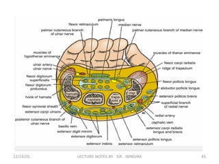 12/10/20 45
LECTURE NOTES BY DR . IBINGIRA
 