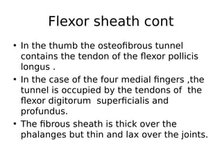 • In the thumb the osteofibrous tunnel
contains the tendon of the flexor pollicis
longus .
• In the case of the four medial fingers ,the
tunnel is occupied by the tendons of the
flexor digitorum superficialis and
profundus.
• The fibrous sheath is thick over the
phalanges but thin and lax over the joints.
Flexor sheath cont
 
