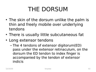 THE DORSUM
• The skin of the dorsum unlike the palm is
thin and freely mobile over underlying
tendons
• There is usually little subcutaneous fat
• Long extensor tendons
– The 4 tendons of extensor digitorum(ED)
pass under the extensor retinaculum, on the
dorsum the ED tendon to index finger is
accompanied by the tendon of extensor
indicis
12/10/20 53
kiryowa
 