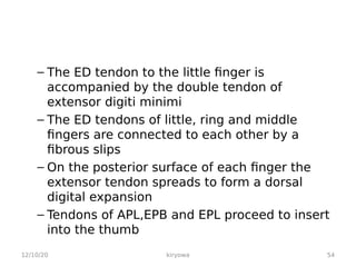 – The ED tendon to the little finger is
accompanied by the double tendon of
extensor digiti minimi
– The ED tendons of little, ring and middle
fingers are connected to each other by a
fibrous slips
– On the posterior surface of each finger the
extensor tendon spreads to form a dorsal
digital expansion
– Tendons of APL,EPB and EPL proceed to insert
into the thumb
12/10/20 54
kiryowa
 