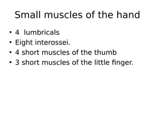 • 4 lumbricals
• Eight interossei.
• 4 short muscles of the thumb
• 3 short muscles of the little finger.
Small muscles of the hand
 