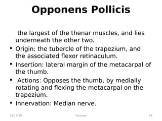 Opponens Pollicis
the largest of the thenar muscles, and lies
underneath the other two.
 Origin: the tubercle of the trapezium, and
the associated flexor retinaculum.
 Insertion: lateral margin of the metacarpal of
the thumb.
 Actions: Opposes the thumb, by medially
rotating and flexing the metacarpal on the
trapezium.
 Innervation: Median nerve.
12/10/20 kiryowa 68
 