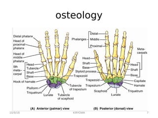 osteology
10/9/18 7
KIRYOWA
 